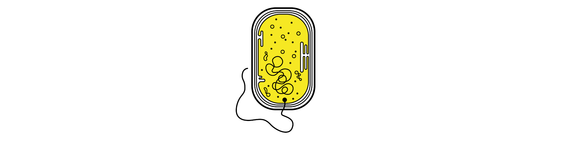 Illustration Bakterie